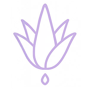 icon1