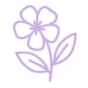 icon2